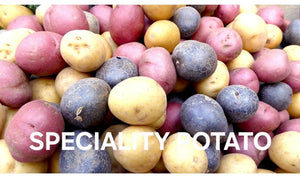 SPECIALTY POTATO