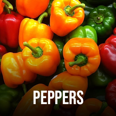 PEPPERS