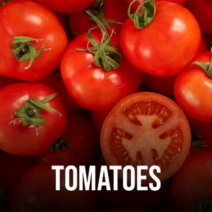 TOMATOES