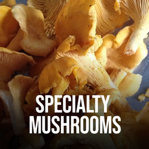 Specialty Mushrooms (.lbs)