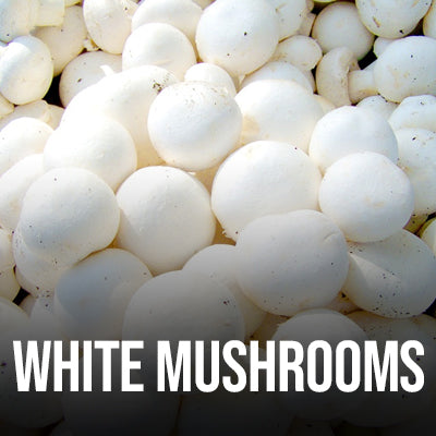 White Mushrooms (.lbs)